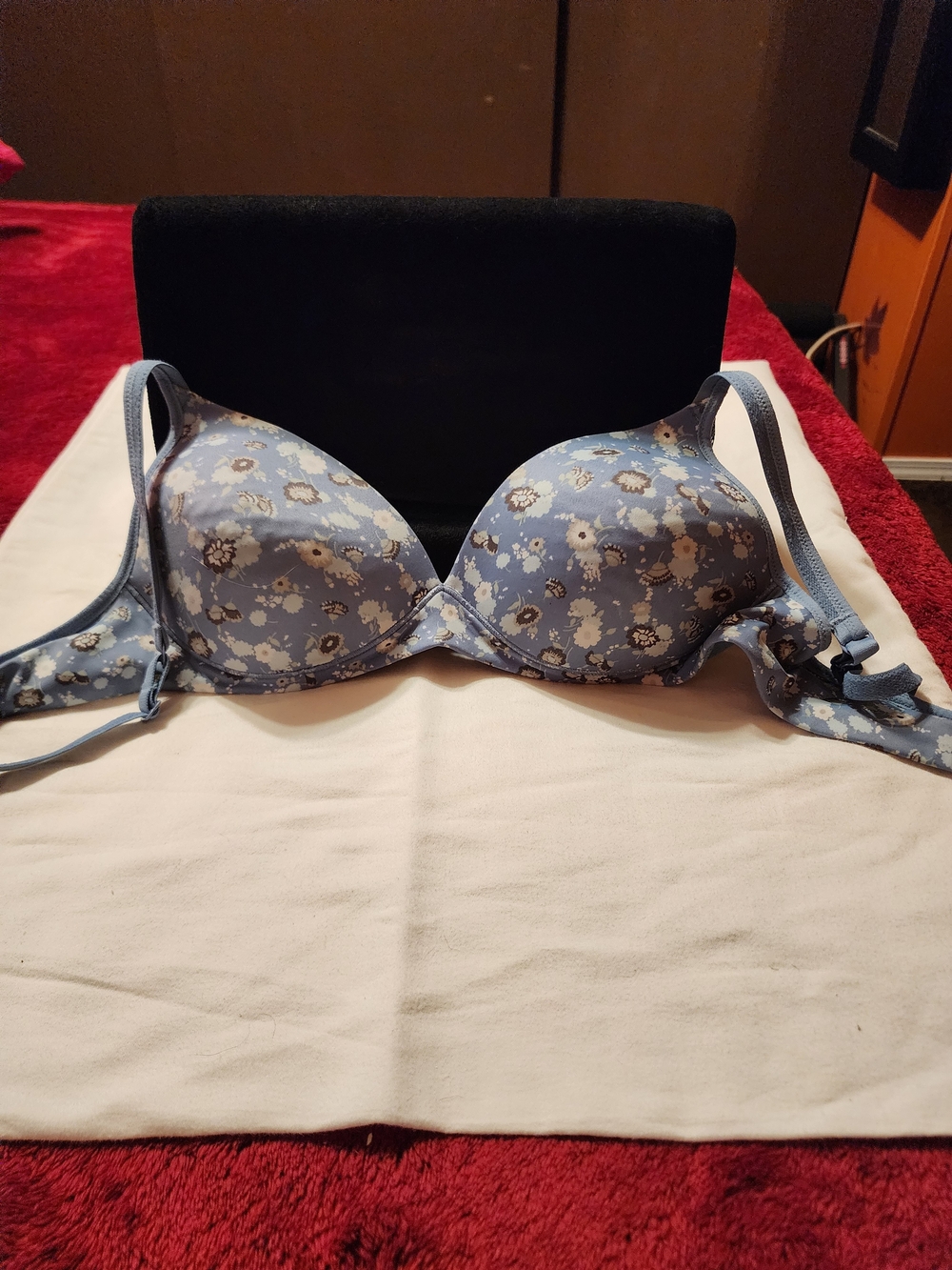 Warner's Light Blue Floral Push-Up Bra